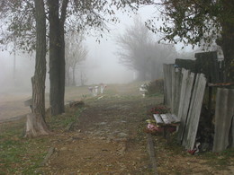 В тумане... / Деревня.Улочка.Туман.
