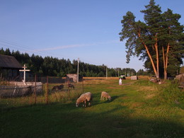 пастораль / Царский Скит,Нижегородская область