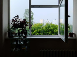 Ветер не в голове / 2018-07-19-3-C00-096(80)+C
