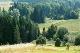 пейзаж без неба / как макароны без хлеба