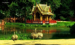 Гамбург. Зоопарк / Из Википедии:
&quot;Зоопарк Хагенбека (нем. Tierpark Hagenbeck) — зоопарк, расположенный в немецком городе Гамбурге. Он был открыт 7 мая 1907 года и стал первым в мире зоопарком, в котором для животных были воссозданы природные условия их обитания — деревья, водоёмы, скалы.
Основатель зоопарка Карл Хагенбек был учёным, коммерсантом и дрессировщиком. У него был свой цирк и он занимался торговлей дикими животными. В настоящее время зоопарк находится в частной собственности и принадлежит семье Хагенбек.
Площадь зоопарка составляет 25 га. Он представляет собой сеть из троп и дорожек протяженностью около 7 км, прогуливаясь по которым можно увидеть 210 видов животных.
У главного входа в зоопарк расположен тропический аквариум с 290 видами животных и пресмыкающихся.
Многих животных в зоопарке разрешено кормить посетителям — для этого у входа можно приобрести специальные корма. Некоторые животные, например слоны, дрессированные.
В центре зоопарка расположены вольеры с львами и тиграми, а перед ними — стадо зебр.&quot;