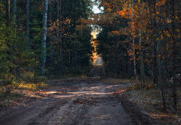 Фрагмент осени / Пейзаж Беларуси