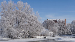 Зима на реке Быстрая Сосна. / Красивый зимний день. Такой красивый иней бывает зимой всего дня два или три, не больше.
