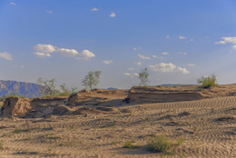 Песчаный пейзаж / Снимал в пригороде Ашхабада