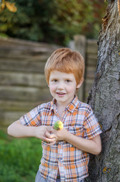 Каштанчик / ***
