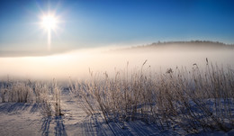 Зимние травы / Морозное утро. Canon EOS 1100D. f/8. 1/600c. ISO 100. 34mm
Панорама 2 горизонтальных кадра.