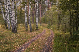 Начало осени / Томская область