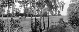 Из аэропорта Курумоч в Курумоч / июль 2018 года, Rollei RPX 100