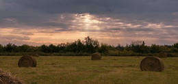 Скоро осень / Томская область