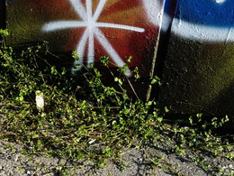 Лета заключительный аккорд / 2018-08-31-71-C00-072(80)-C