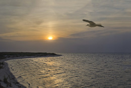 К солнцу / закат на лимане