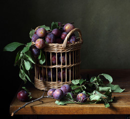 Сливы / корзина со сливами
