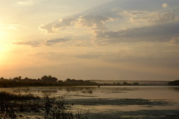 Раздвигая горизонт / ***