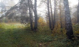 Утренний лес / Туманы октября.