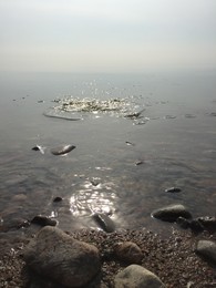 Кидая камни в тиши туманного утра / Финский залив в начале осени