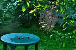 "Грустью соткан узор паутинный..." / "Везде роса. В застывших каплях
 Блестит, сверкая, серебром,
 Так умывается природа,
 Прощаясь, утром с крепким сном ..."
 В.Диденко