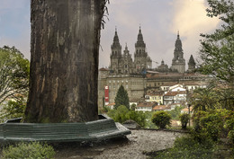 Два великана / Сантьяго -да Компостела, вид на собор Св. Сантьяго из парка ,где растет старейший в городе эвкалипт