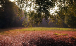 &nbsp; / НА СОЛНЕЧНОЙ ПОЛЯНЕ