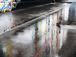 Осень / 2017-10-16-105-C00-056(80)+C