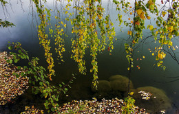 Осень / Бабье лето , тихий омут ...