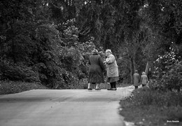 Бабушки / Бабушки обсуждают пенсионную реформу в России.