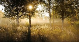 Легкой дымкой туман затушует за речкой пейзажи.... / Раннее утро. о. Татышев.