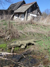 Дом, в котором живёт... крокодил / В деревне Вяжной осталась одна постоянная жительница. Она позже заселилась именно в дом, который занимал крокодил.