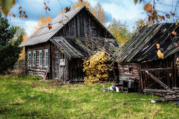 Дом, в котором живет... / Осень в деревне