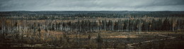 осенняя пустошь / No comments.