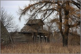 былое... / Село Сурушино, как и соседние старинные сёла Тысяцкое, Городцы и Вышгород (расположенные на берегах реки Осуги) было основано новгородцами в эпоху колонизации южных земель. Здесь были крепости, которые охраняли торговые пути по Осуге.........До 60-х и даже до начала 70-х годов XX века деревня Сурушино всё ещё оставалась весьма оживлённым населённым пунктом, входившим в состав колхоза &quot;Свободный труд&quot;.
Тогда здесь были и школа, и магазин, и почта, и медпункт, и клуб...Потом, постепенно, вся молодёжь из деревни поразъехалась в города... Видимо, потому, что труд в колхозе был слишком &quot;свободным&quot; и почти бесплатным, да и быт в городе гораздо привлекательнее и устроеннее сельского, а досуг - интереснее и разнообразнее...Так, незаметно, деревня стала умирающей...