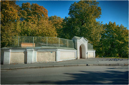 наши голуби / традиционная осенняя прогулка в лавру. СПб