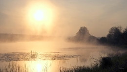 Туман. / Озеро Сосновое. Утро.
