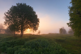 Путь к реке. / Московская область, Талдомский район, деревня Кривец. 
26 Мая. 2018 год.