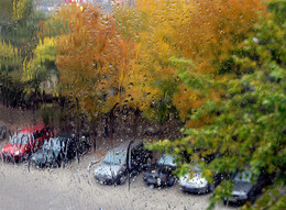 Дождь за окном / Дождь, осень, осенние деревья, parking