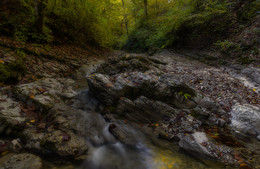 На горной речке / осень