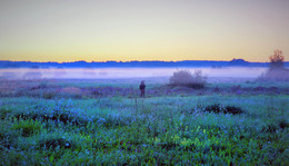 Сиреневый туман / Сиреневый туман