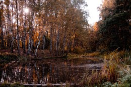 Краски осени / Осенняя прогулка