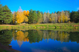 Осенние краски природы. / Осенние Отражение! Деревья смотрятся в зеркальное озеро!