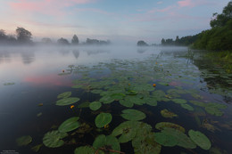 Умиротворение. / Московская область, город Дубна, река Дубна. 
26 Июня 2018 год.