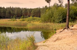 Осень на озере / Осень на озере