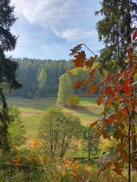 Окно в осень / Осенние мотивы