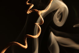 Симбиоз, танцовщица. / Симбиоз, танцовщица - как гармонично могут сосуществовать вместе виноградная лоза с дымом. 
Фотограф: Александр Шаварев 11.10.2018
Фотография из серии &quot;Leaf&quot;