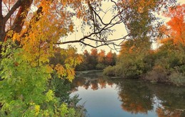 Запах осени / Тёплый осенний вечер на реке Цон, Орловской области.