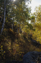 Запах осени / В осеннем лесу