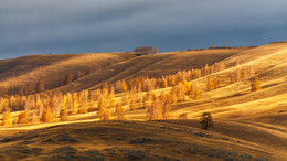 Запах осени / ***