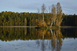 Осенний остров.... / Осиновая Роща. Октябрь