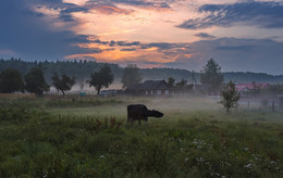 Квадратная корова / ***