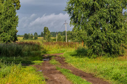 после дождя / лето, Подмосковье