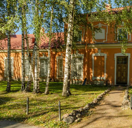 березки у входа. / Традиционная осенняя прогулка в лавру. СПб.
