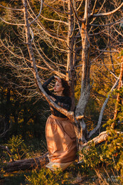 Лена / ***
